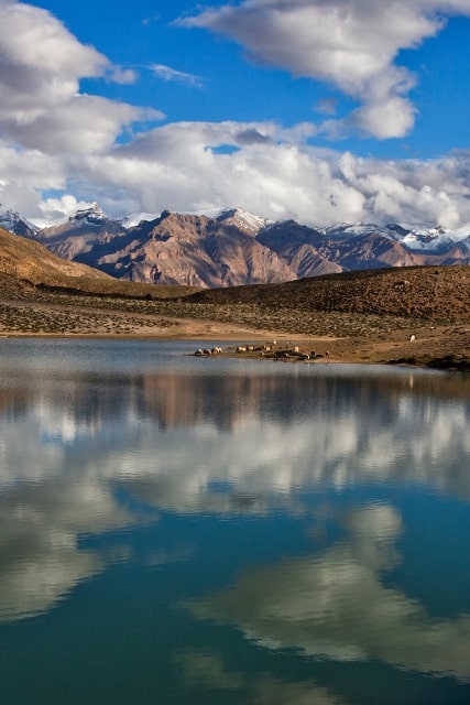 Spiti in Winters - Xmas & New Year Special